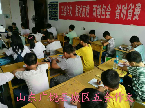 五会作文部分加盟校教学展示|教学动态-山东五会教育信息咨询有限公司