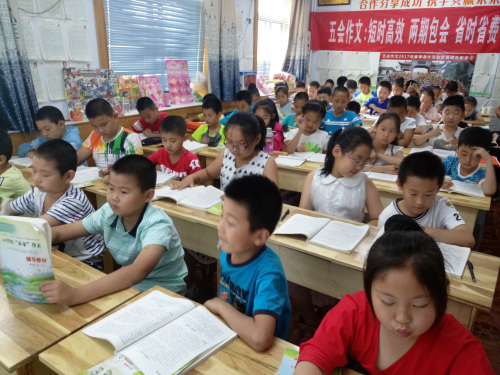 致考察五会作文的朋友： 做考察作文品牌的专家|教学动态-山东五会教育信息咨询有限公司