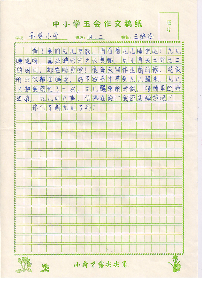 我的加菲猫“九儿”（晏婴小学 四年级二班 王璐涵）